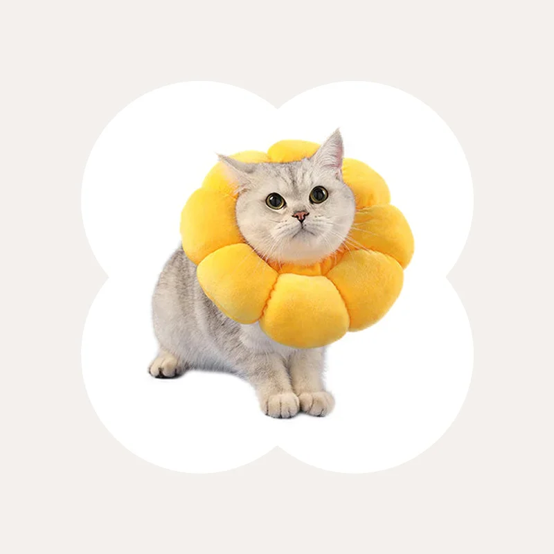 Flower Styled Cat Cone