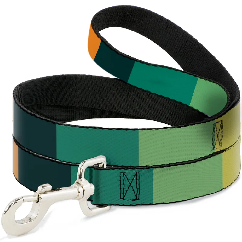 Dog Leash - Summer Essentials Color Block 1