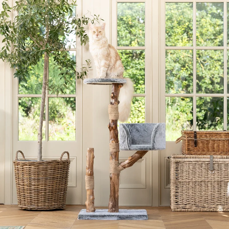 Back to Nature The Trio Cat Scratch Post