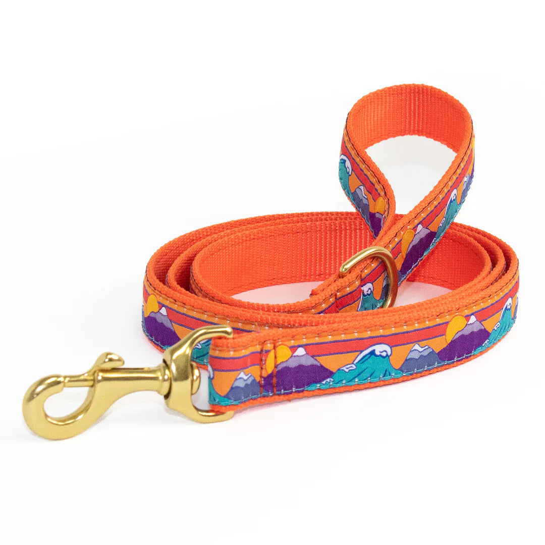 Ski + Surf Dog Lead